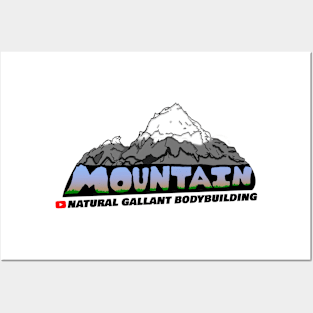 Mountain Posters and Art